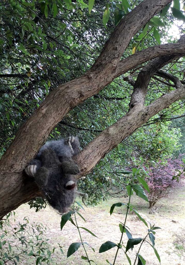 A felted possum who provides nesting materials for honeyeaters, wattlebirds and others, and alarm to human visitors!