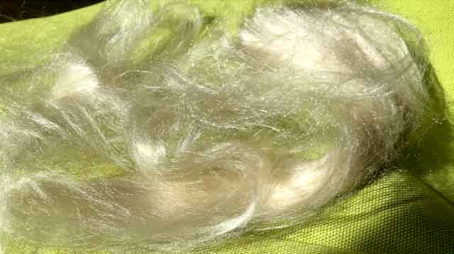 cream silk fibres